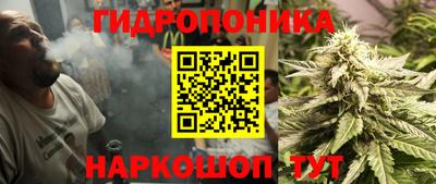 гашик Новодвинск