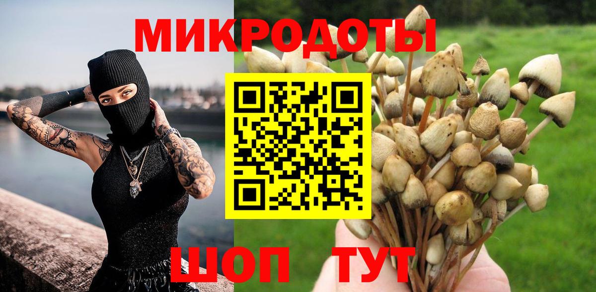 Галлюциногенные грибы Psilocybe Ульяновск