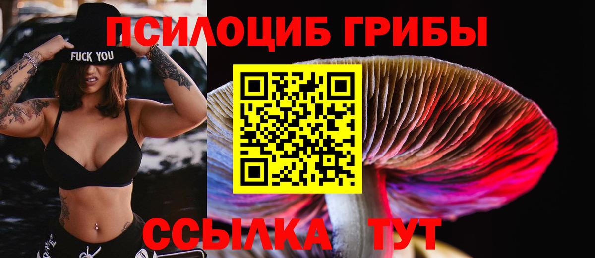Галлюциногенные грибы MAGIC MUSHROOMS  Вход с VPN  Ульяновск 